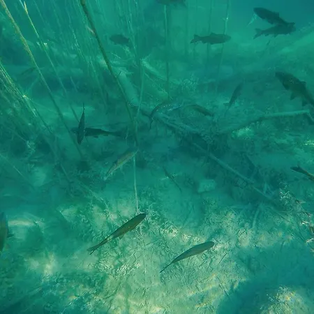 Gorgeous Stacaravan In With Wifi אתר קמפינג Drniš