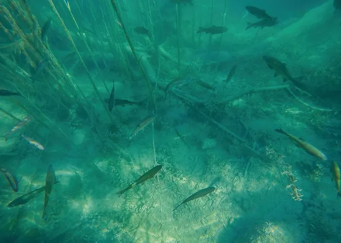 Gorgeous Stacaravan In With Wifi Camping Drniš